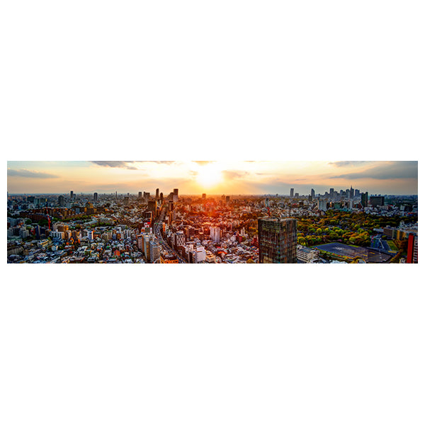 City of Tokyo Panoramic image 1