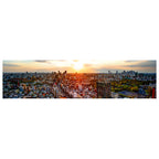 City of Tokyo Panoramic image 1