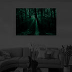 Night Glow Rays of Sunlight Through Trees image 1