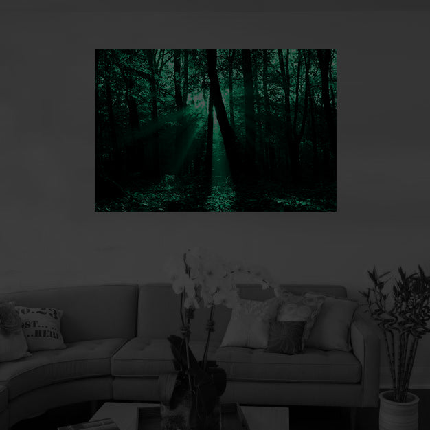 Night Glow Rays of Sunlight Through Trees image 1