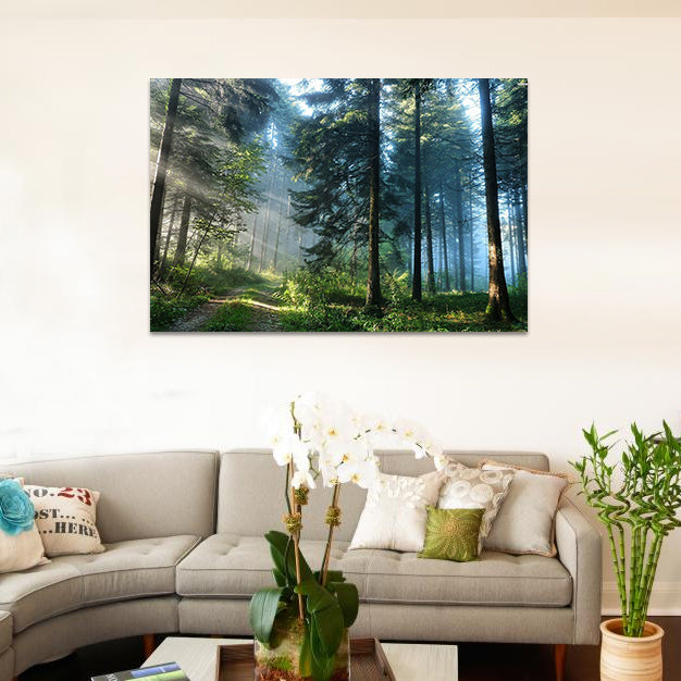 Night Glow Road in the Forest image 0