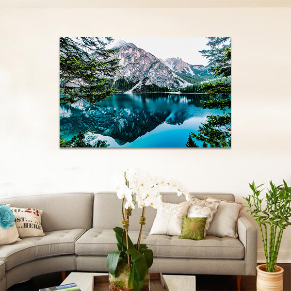 Daylight Blue Forest Glossy image 0