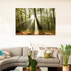 Night Glow Rays of Sunlight Through Trees image 0