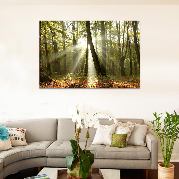 Night Glow Rays of Sunlight Through Trees image 0