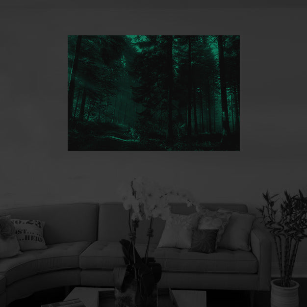 Night Glow Road in the Forest image 1