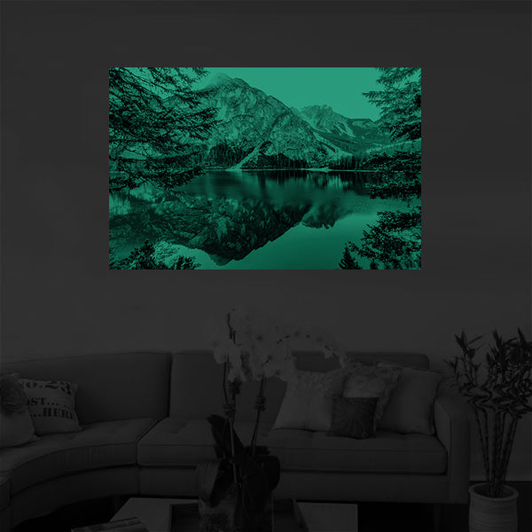 Daylight Blue Forest Glossy image 1