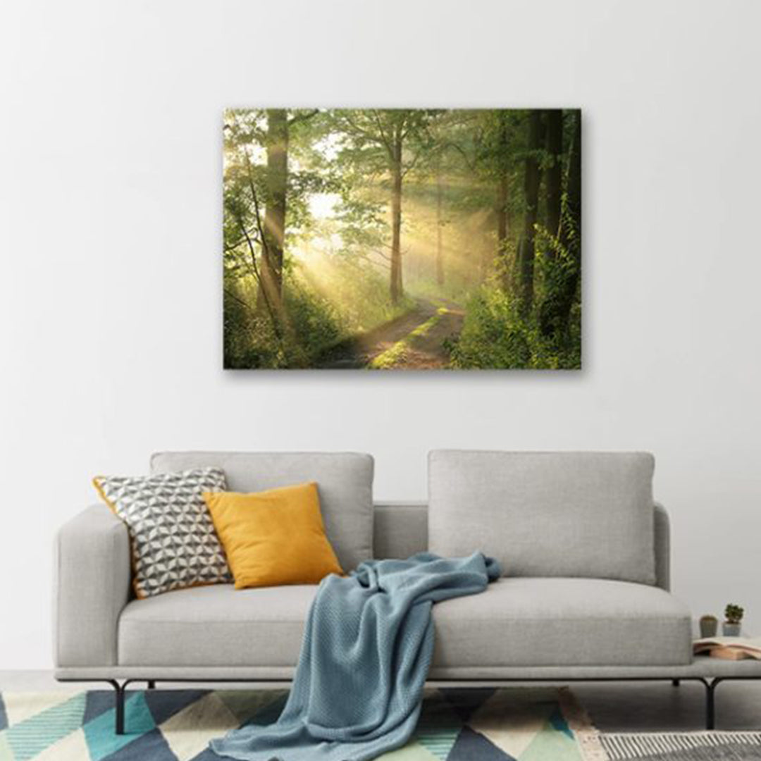 Green Trees Foggy Morning Spring Landscape Print