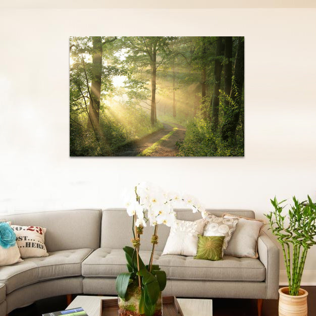 Night Glow Dirt Road Deciduous Forest Green Trees Foggy Morning Spring image 0