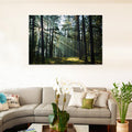 Night Glow Misty old foggy forest at sunrise image 0