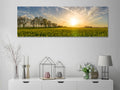 Landscape Nature Grass Horizon Blossom image 0