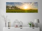 Landscape Nature Grass Horizon Blossom image 0